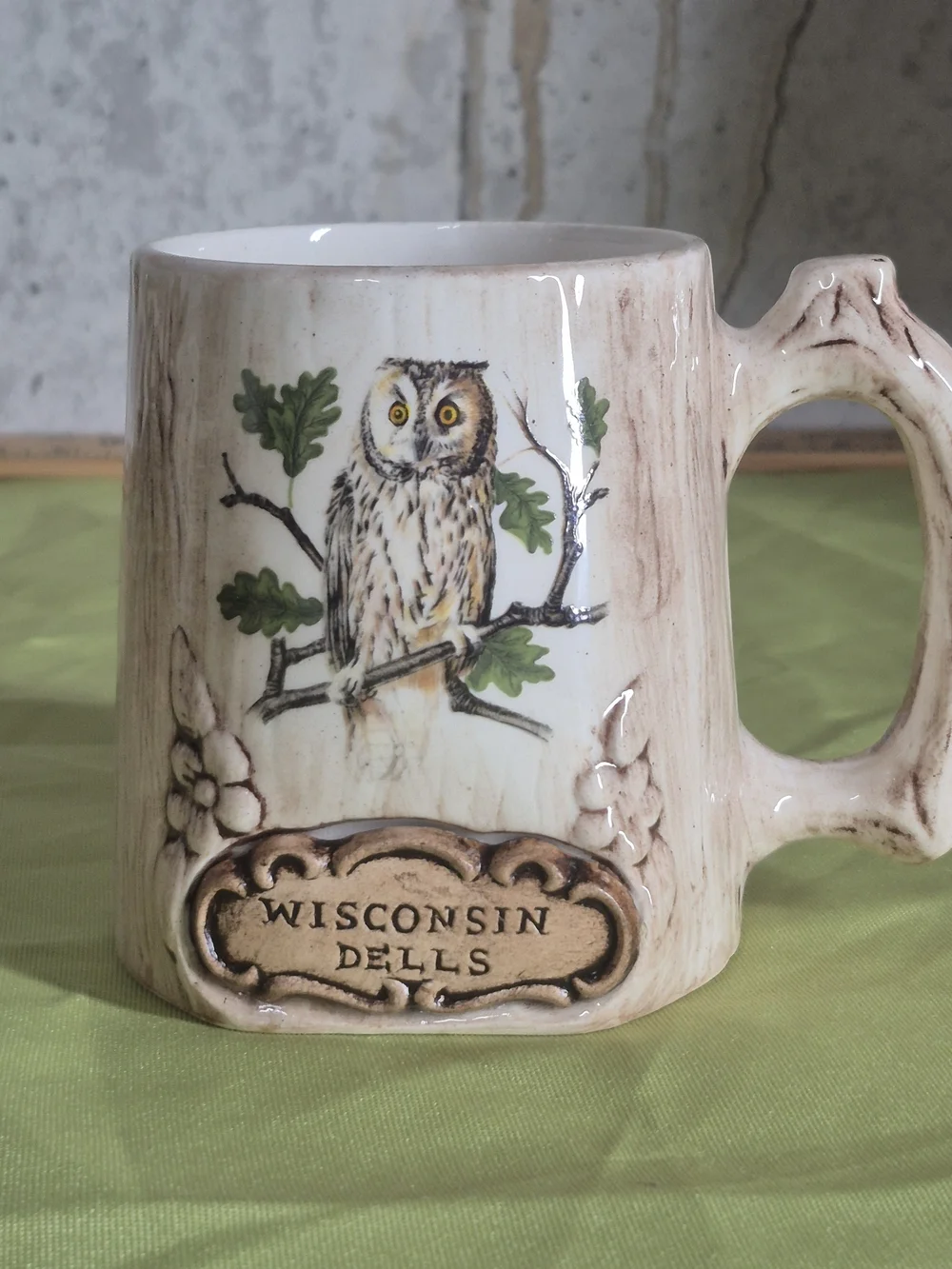 Owl Ceramic Mug - Wisconsin  Dells